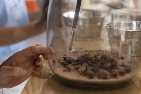 Créez votre propre terrarium avec Laetitia - Image n°2 - Wecandoo