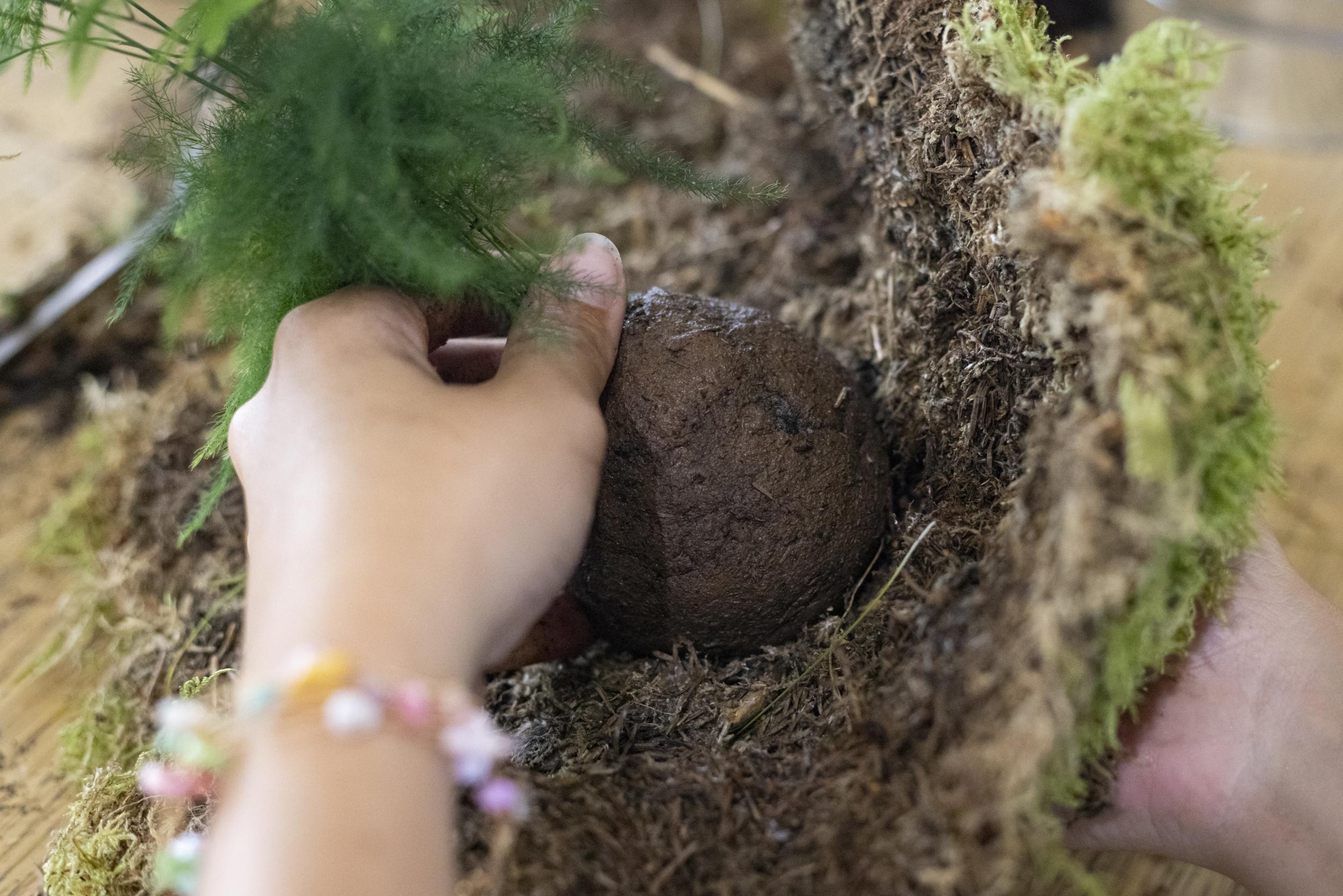 Réalisez votre kokedama avec Laetitia - Image n°7 - Wecandoo