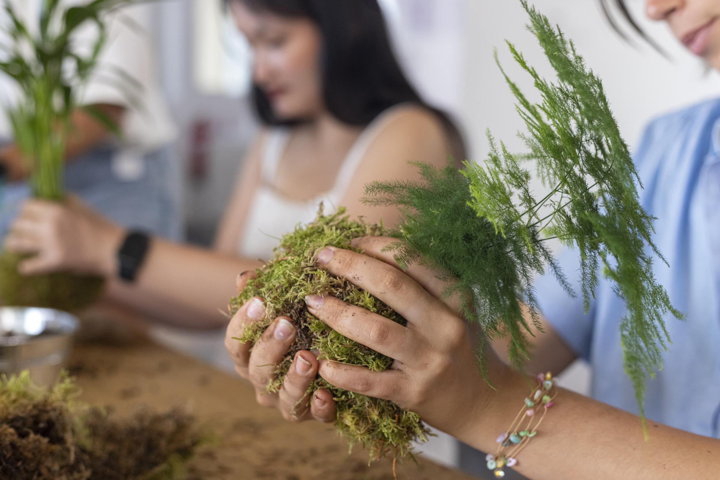 Réalisez votre kokedama avec Laetitia - Image n°8 - Wecandoo