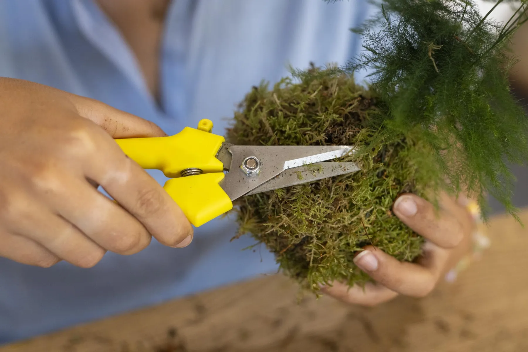 Réalisez votre kokedama avec Laetitia - Image n°2 - Wecandoo