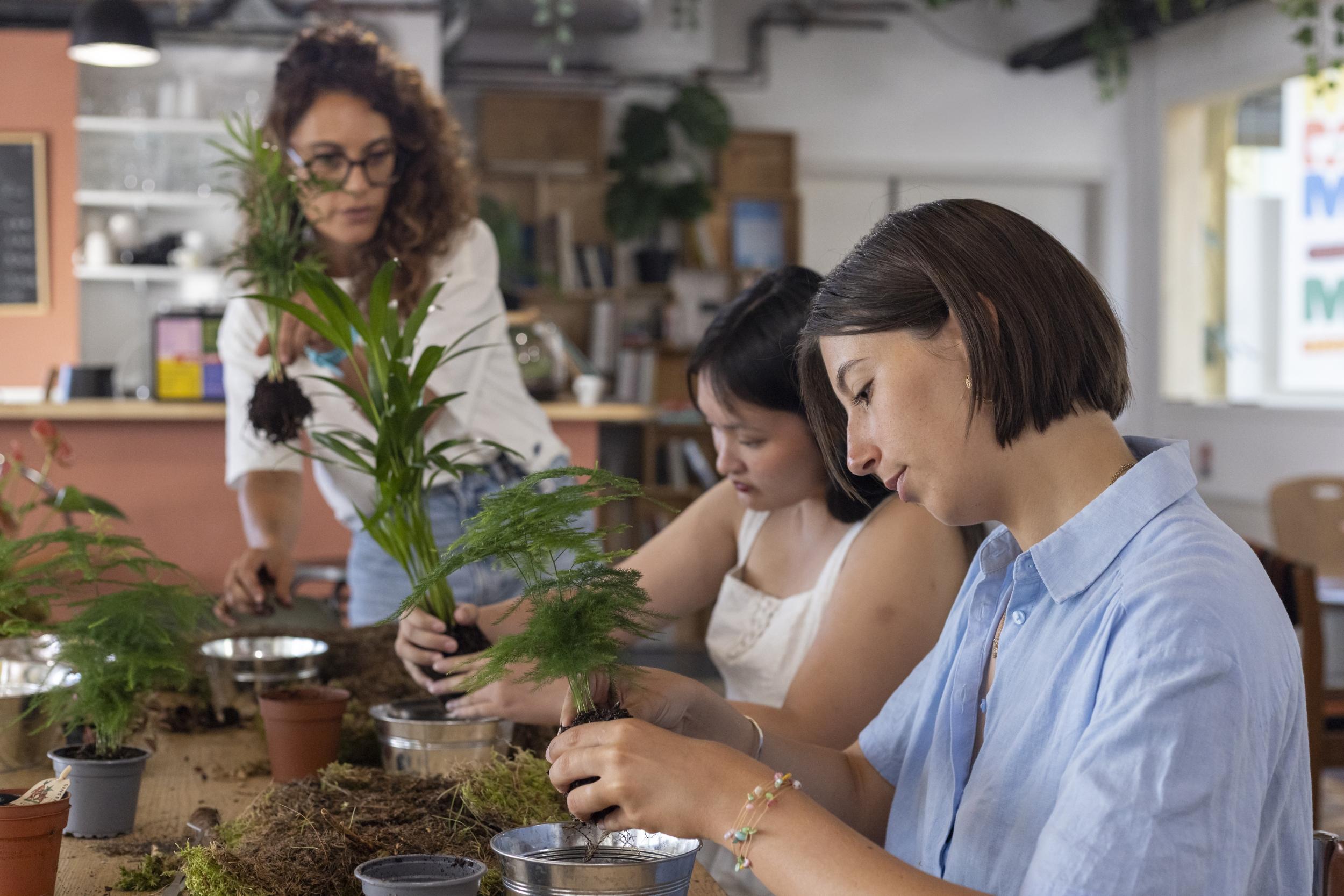 Réalisez votre kokedama avec Laetitia - Image n°9 - Wecandoo