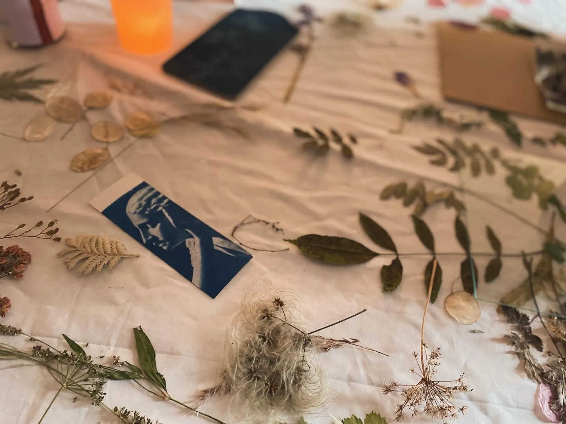 Réalisez votre carnet bleu brodé et relié à la main avec Caroline - Image n°2 - Wecandoo