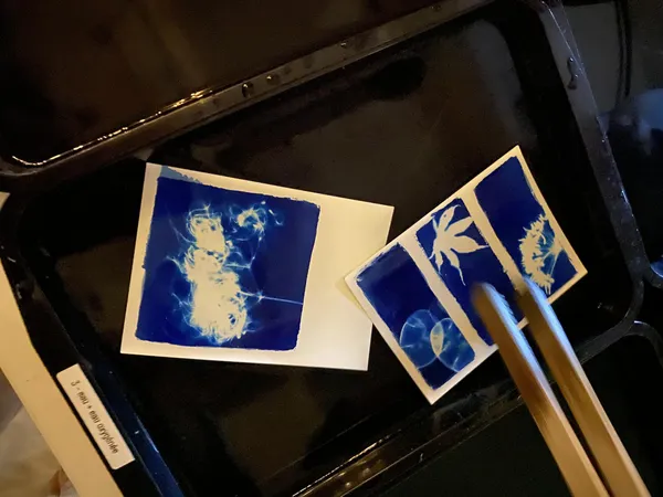 Réalisez votre carnet bleu brodé et relié à la main avec Caroline - Image n°4 - Wecandoo