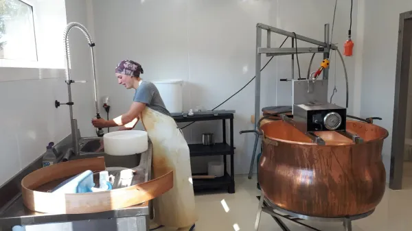 Initiez-vous à la fabrication de fromage à Liège