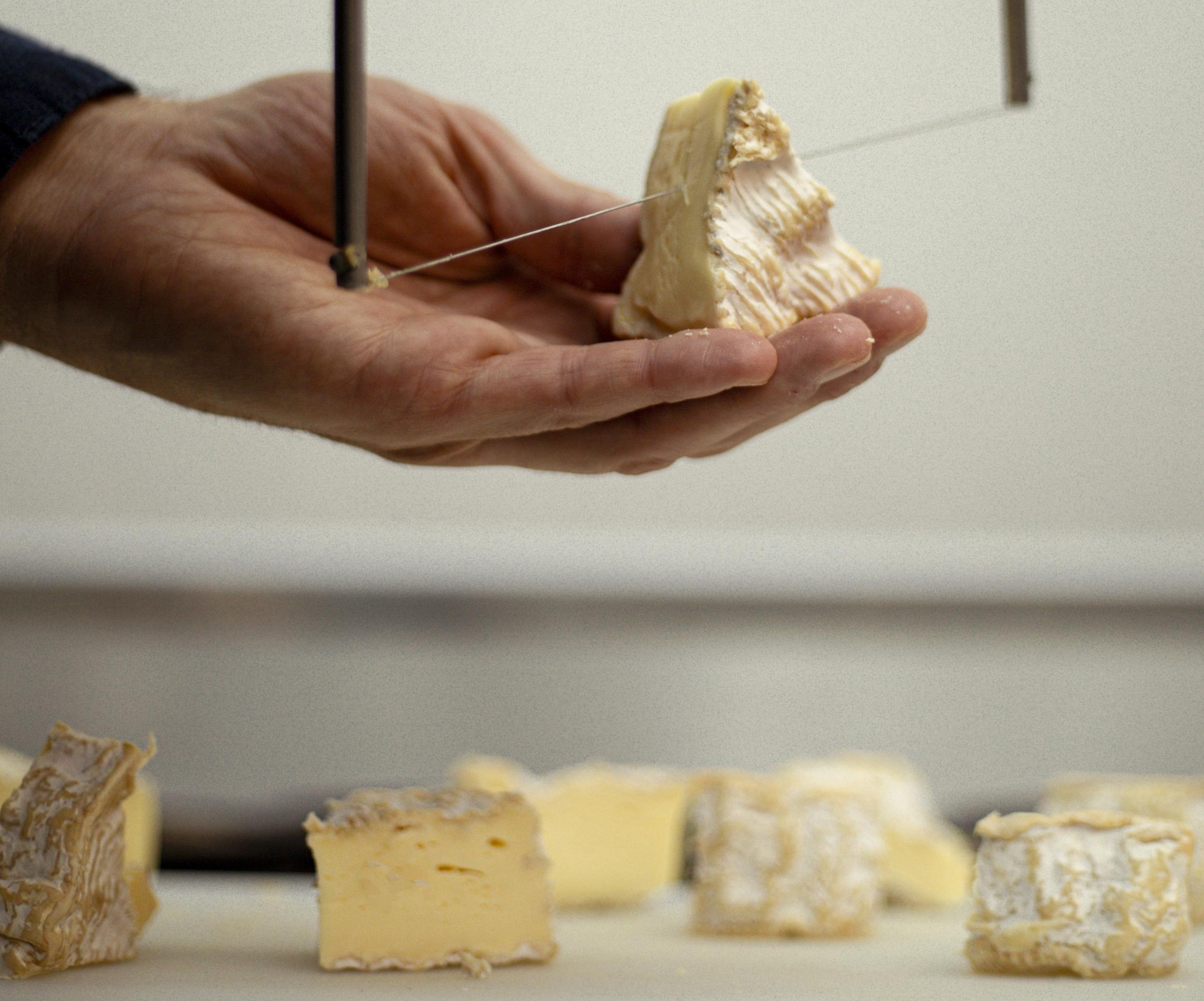 Défiez votre équipe et participez à un blind test fromager avec Laure, Mathieu et leur équipe - Image n°4 - Wecandoo