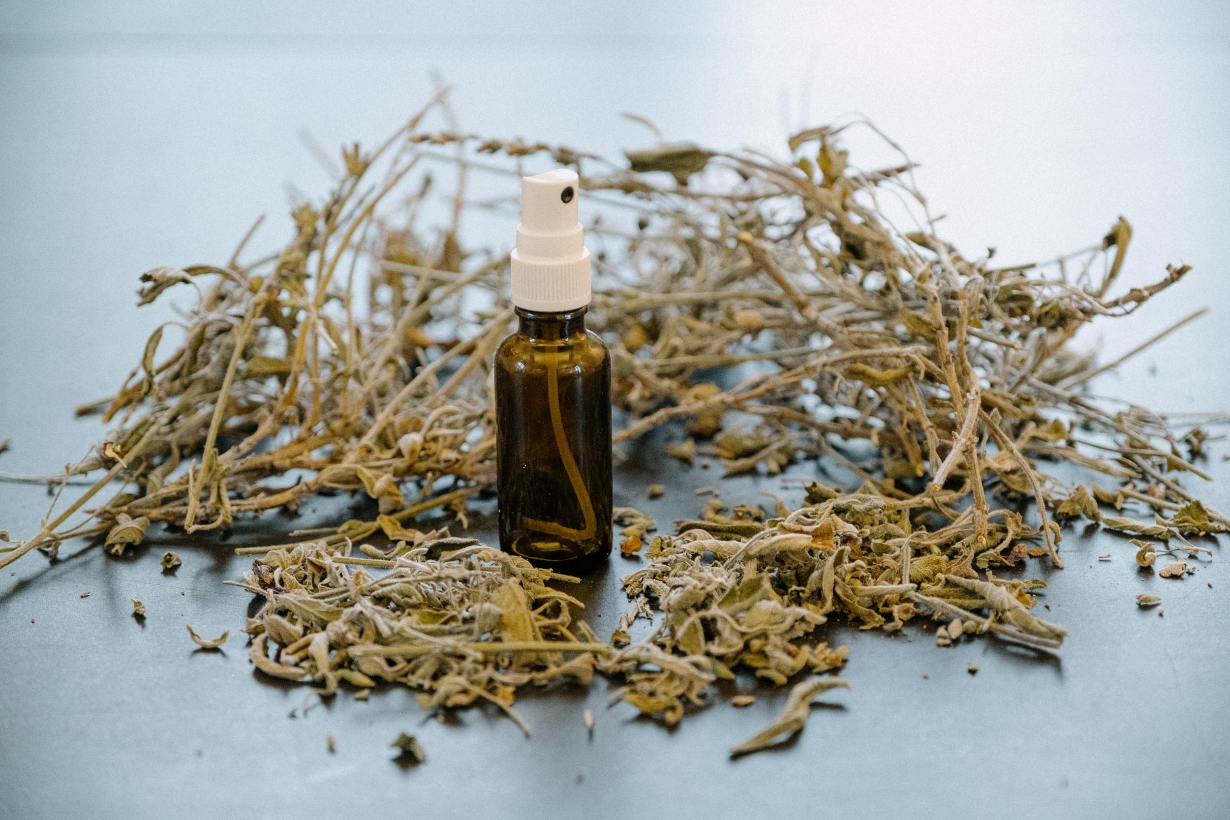 Découvrez les hydrolats et fabriquez le vôtre