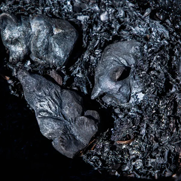 Atelier : 346 Route Du Col Du Cucheron