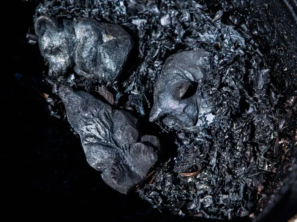 Réalisez le moulage de votre ventre de femme enceinte sur une journée avec Lucile - Image n°2 - Wecandoo