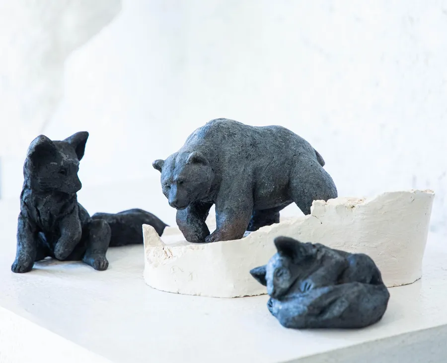 Initiez-vous au modelage et au raku sur une journée avec Lucile - Image n°1 - Wecandoo