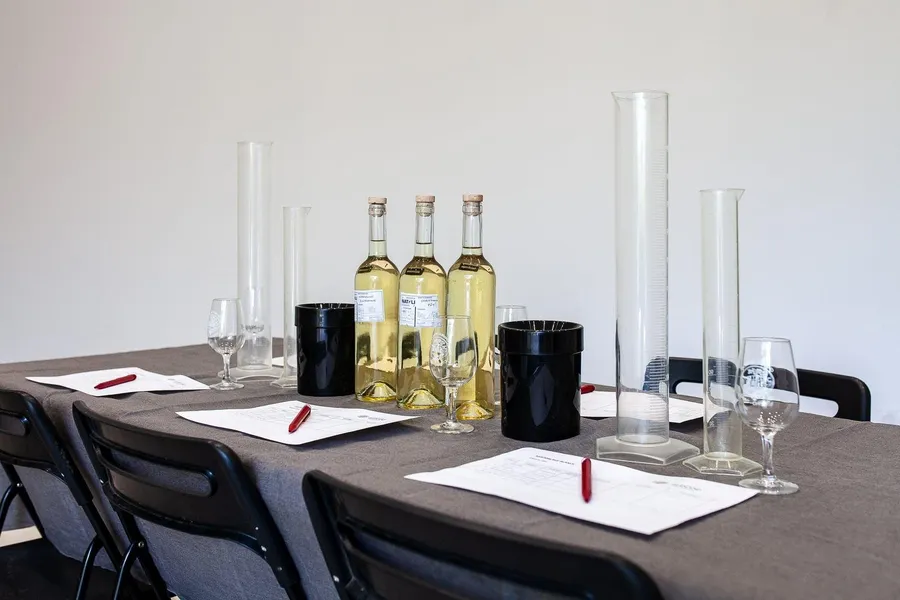 Assemblez un vin de manière ludique avec Sophie - Image n°1 - Wecandoo