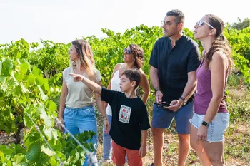 Dégustez une cuvée autour d'un jeu de piste
