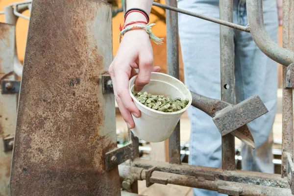 Vivez une demi-journée d’éleveur de chèvre en duo avec votre enfant accompagnés par Elodie - Image n°2 - Wecandoo