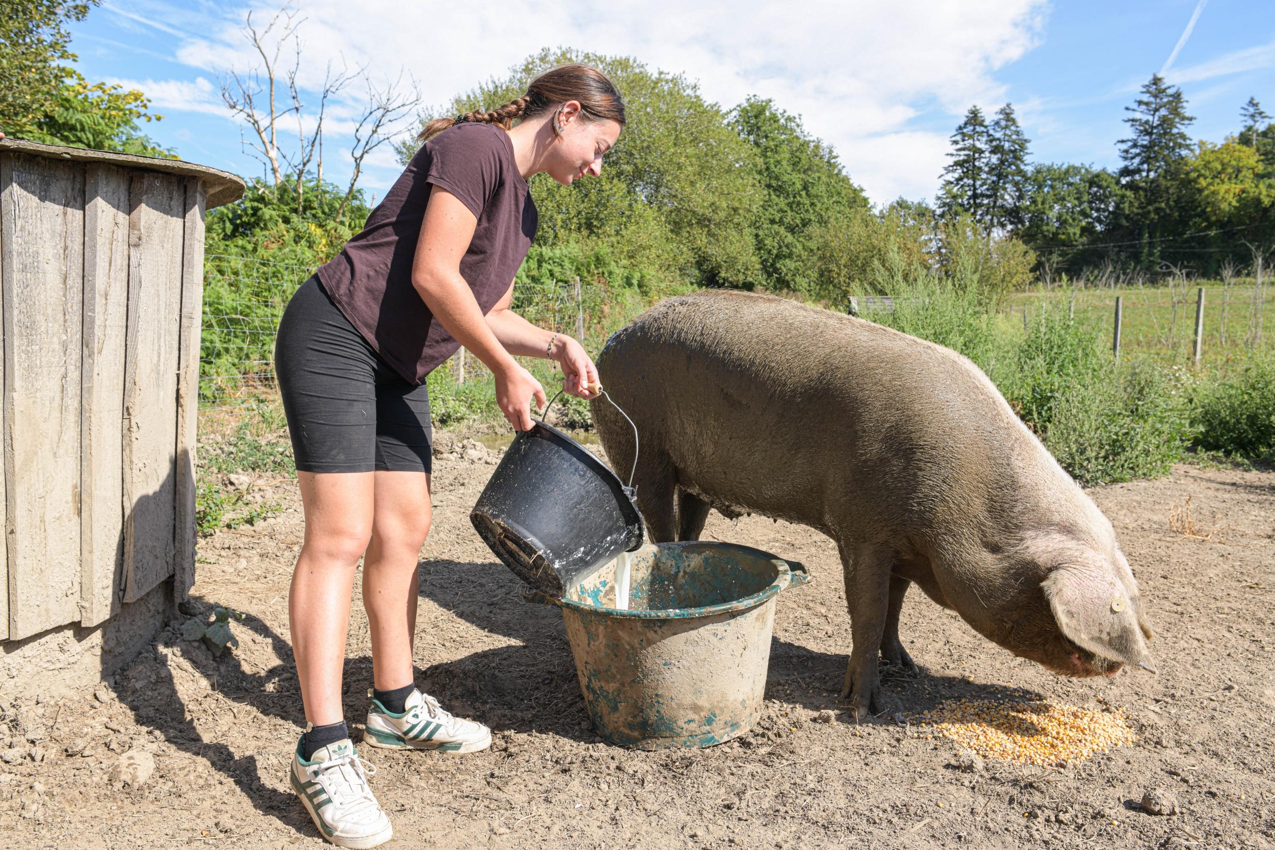 Vivez une demi-journée d’éleveurs en duo avec votre enfant accompagnés par Elodie - Image n°3 - Wecandoo