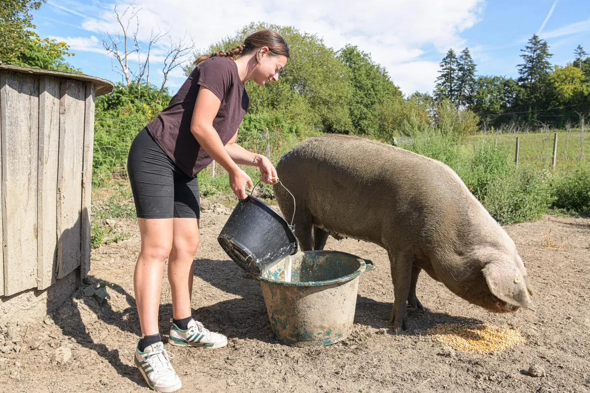 Vivez une demi-journée d’éleveurs