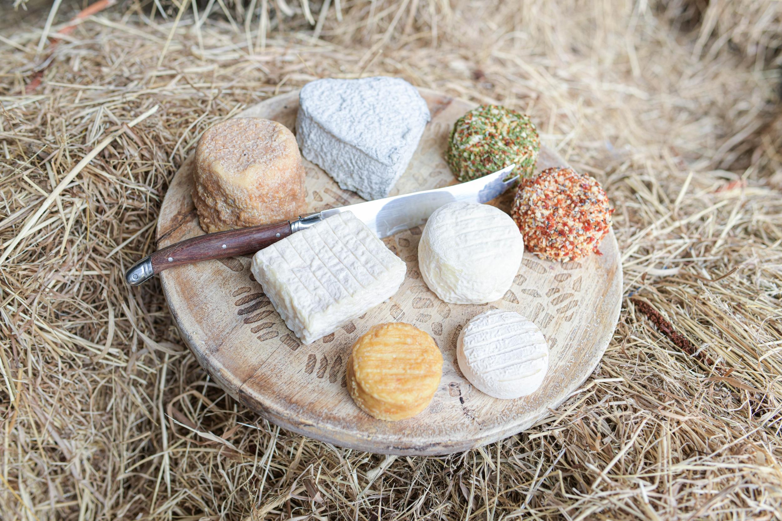 Visitez une ferme conservatoire