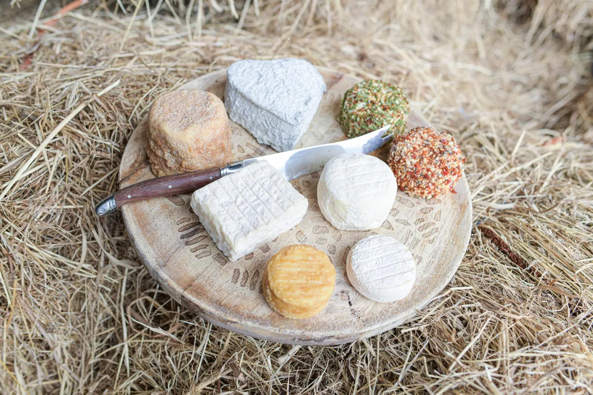 Visitez une ferme conservatoire