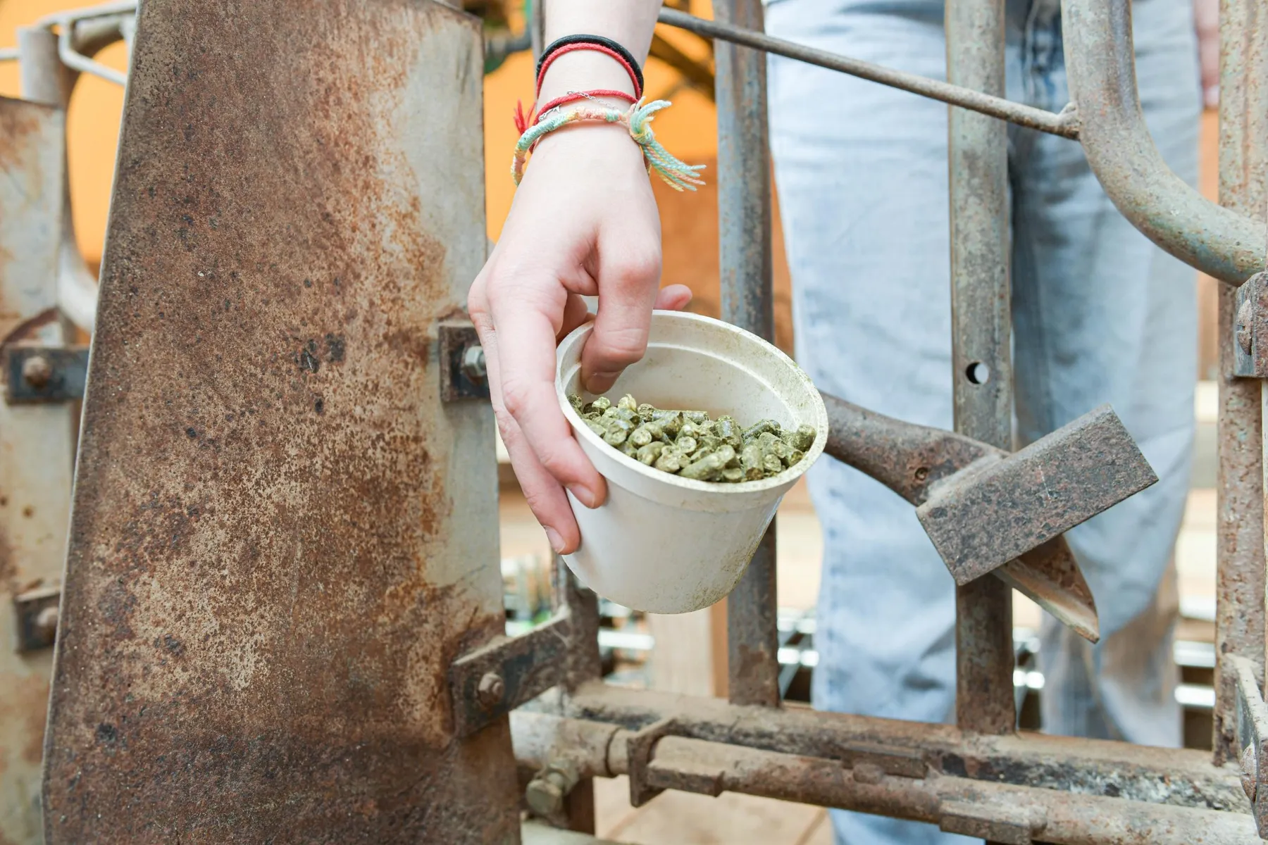 Visitez une ferme conservatoire en duo avec votre enfant accompagnés par Elodie - Image n°2 - Wecandoo