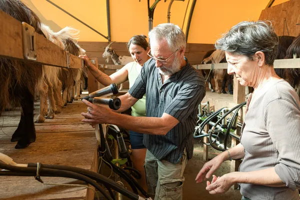 Visitez une ferme conservatoire en duo avec votre enfant accompagnés par Elodie - Image n°4 - Wecandoo