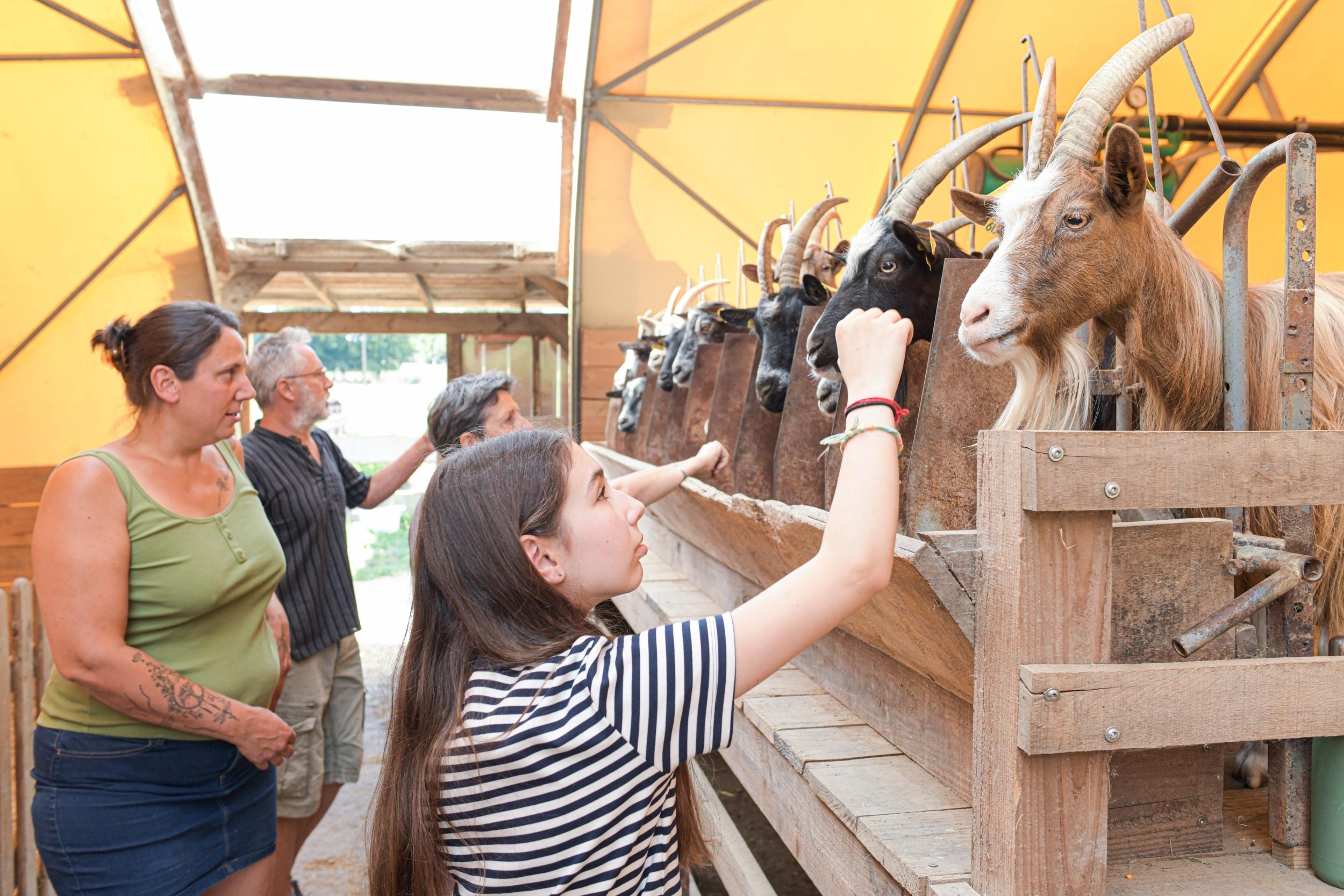 Visitez une ferme conservatoire en duo avec votre enfant accompagnés par Elodie - Image n°3 - Wecandoo