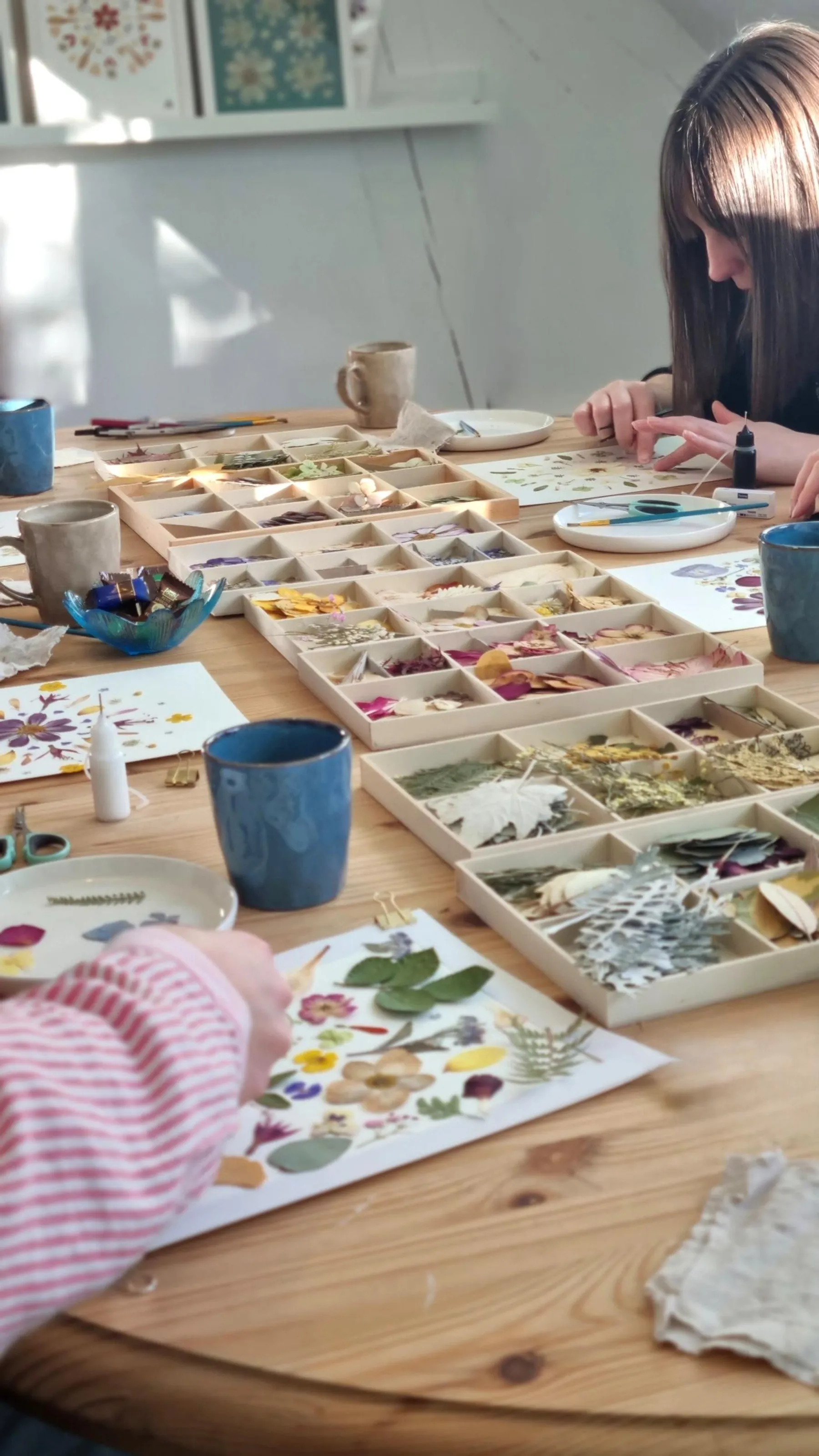 Réalisez votre herbier encadré avec Yuliya - Image n°2 - Wecandoo