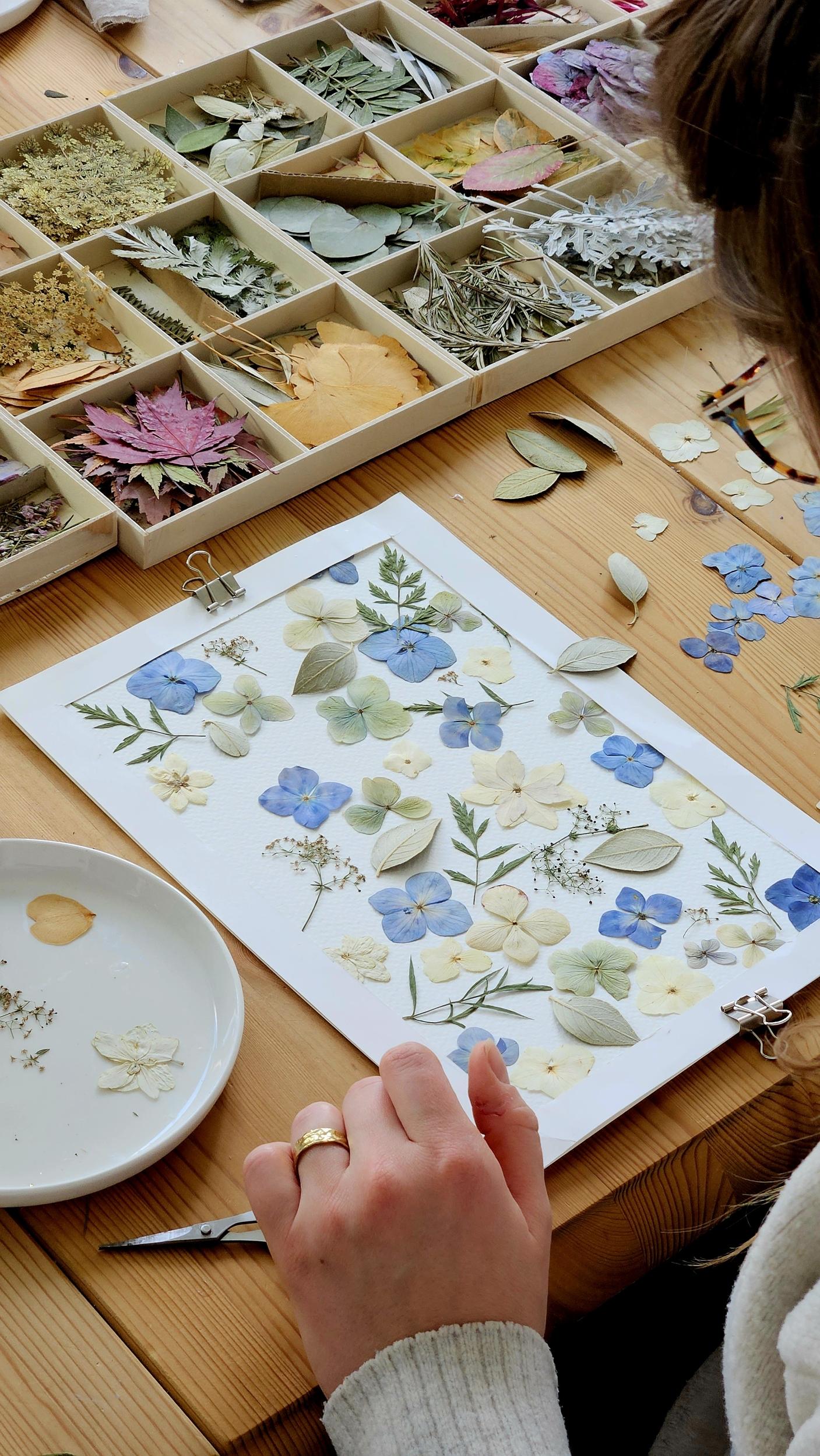 Pressez des fleurs et réalisez votre herbier encadré - Image n°2 - Wecandoo