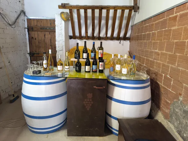 Dégustez 11 vins du domaine avec Anne-Marie - Image n°5 - Wecandoo