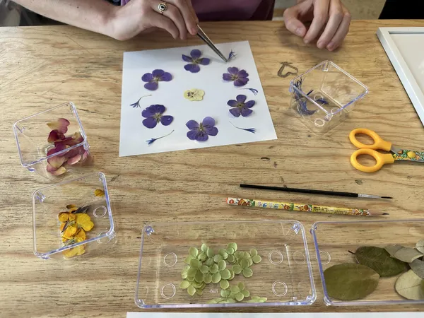 Réalisez votre herbier autour d'un apéro avec Olivia - Image n°2 - Wecandoo