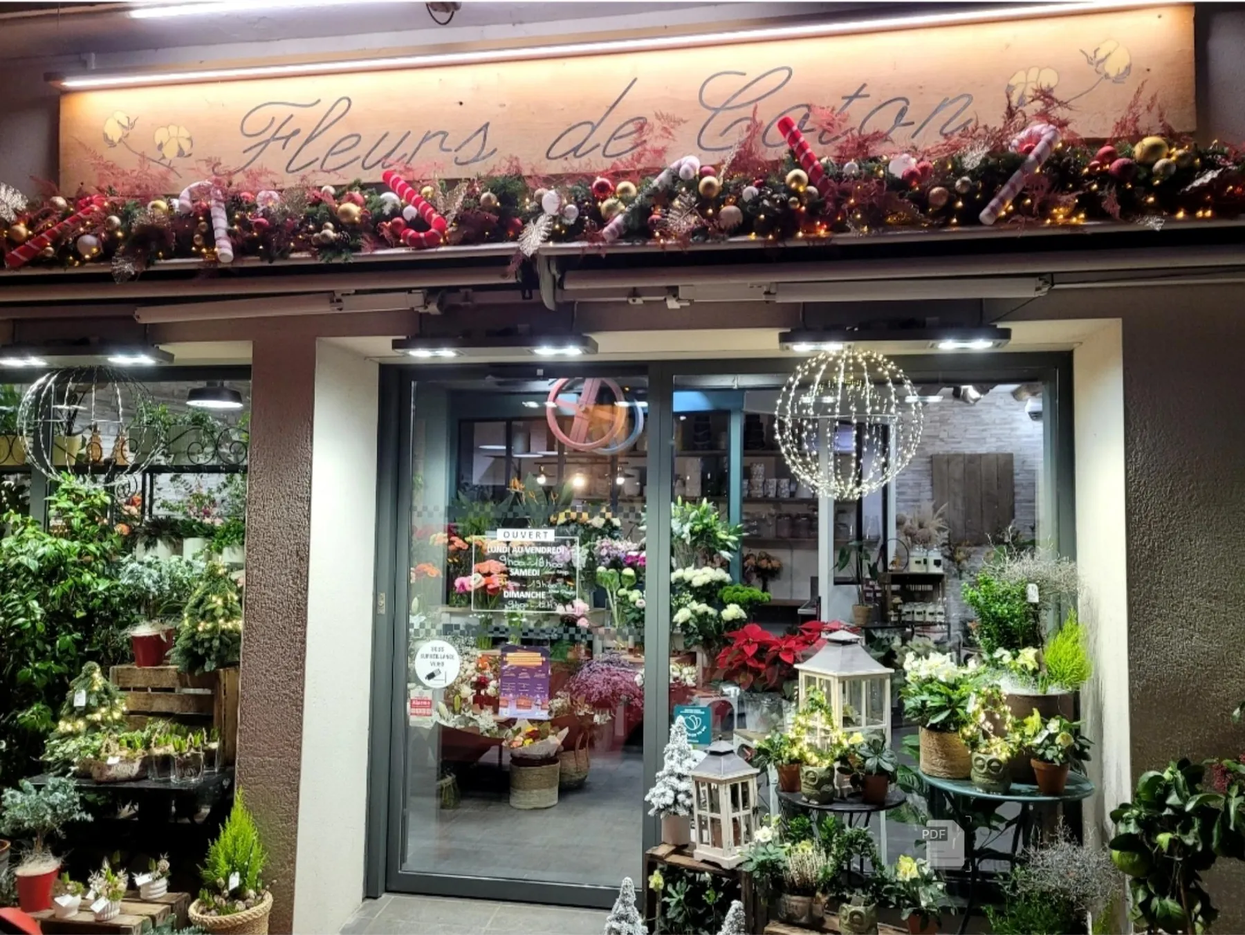 Réalisez votre couronne de fleurs séchées avec Alexandra et Céline - Image n°2 - Wecandoo