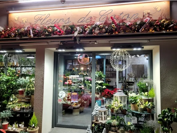 Réalisez votre couronne de fleurs séchées avec Alexandra et Céline - Image n°2 - Wecandoo