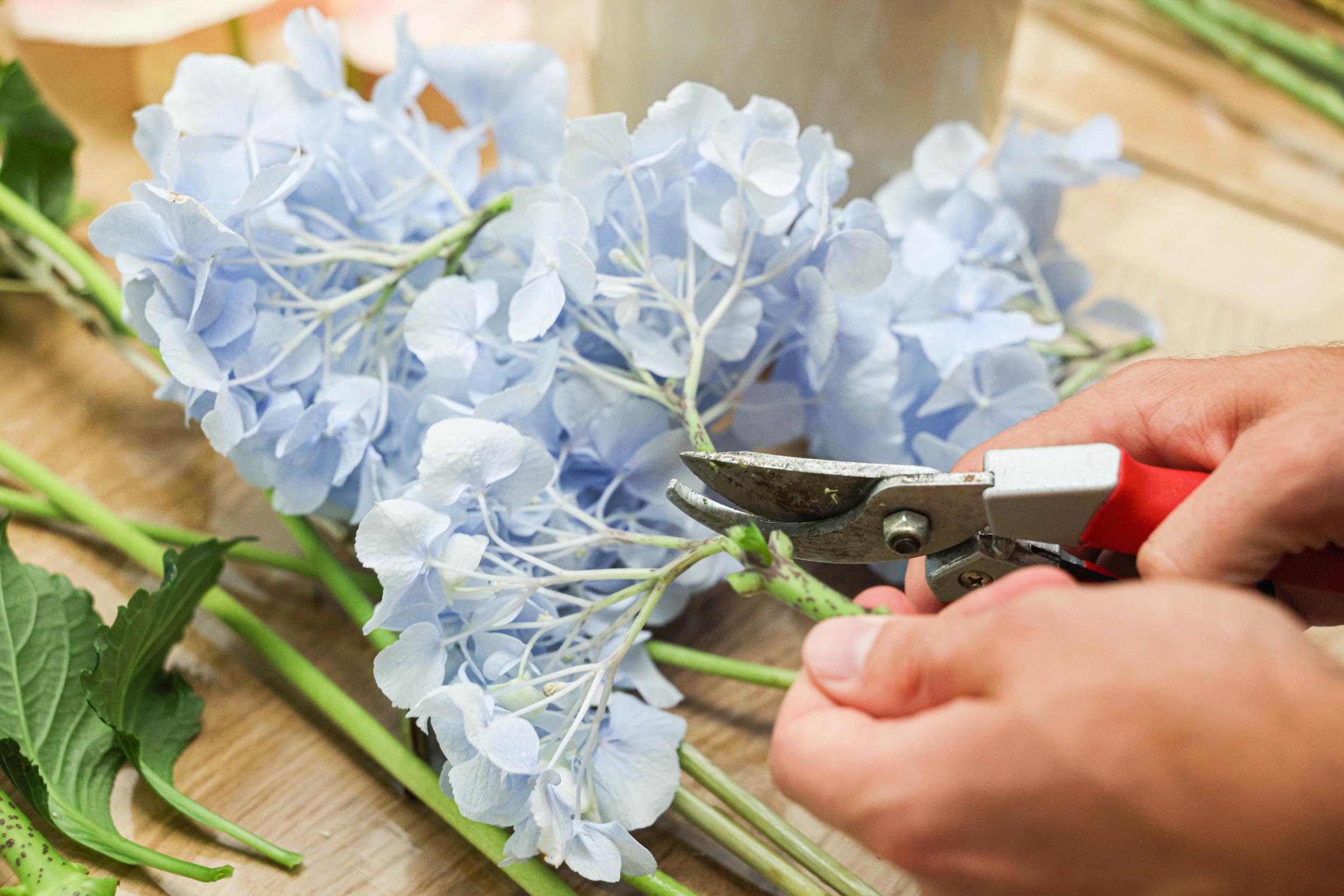 Réalisez votre bouquet autour d'un verre accompagné par Nina - Image n°6 - Wecandoo