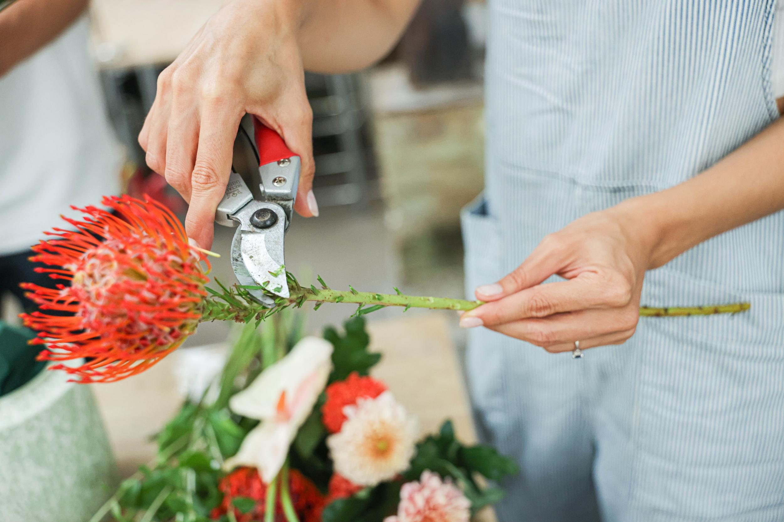 Réalisez votre bouquet autour d'un verre accompagné par Nina - Image n°1 - Wecandoo