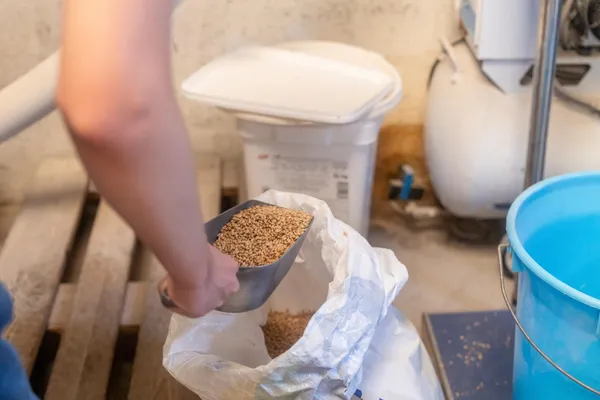 Brassez votre bière artisanale sur une journée avec Jochem - Image n°2 - Wecandoo