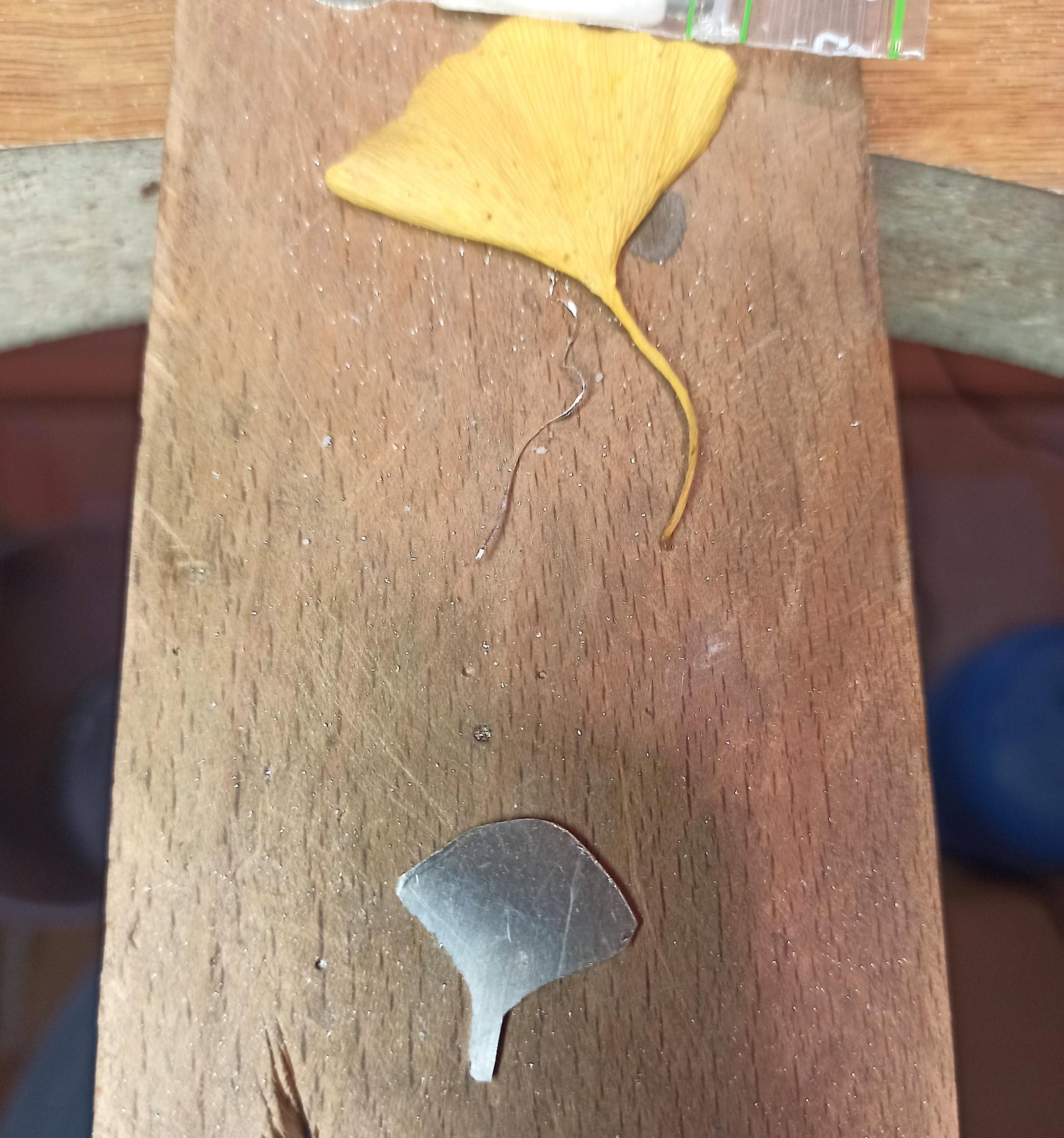 Fabriquez votre bague ou pendentif en argent avec Béatrice - Image n°8 - Wecandoo