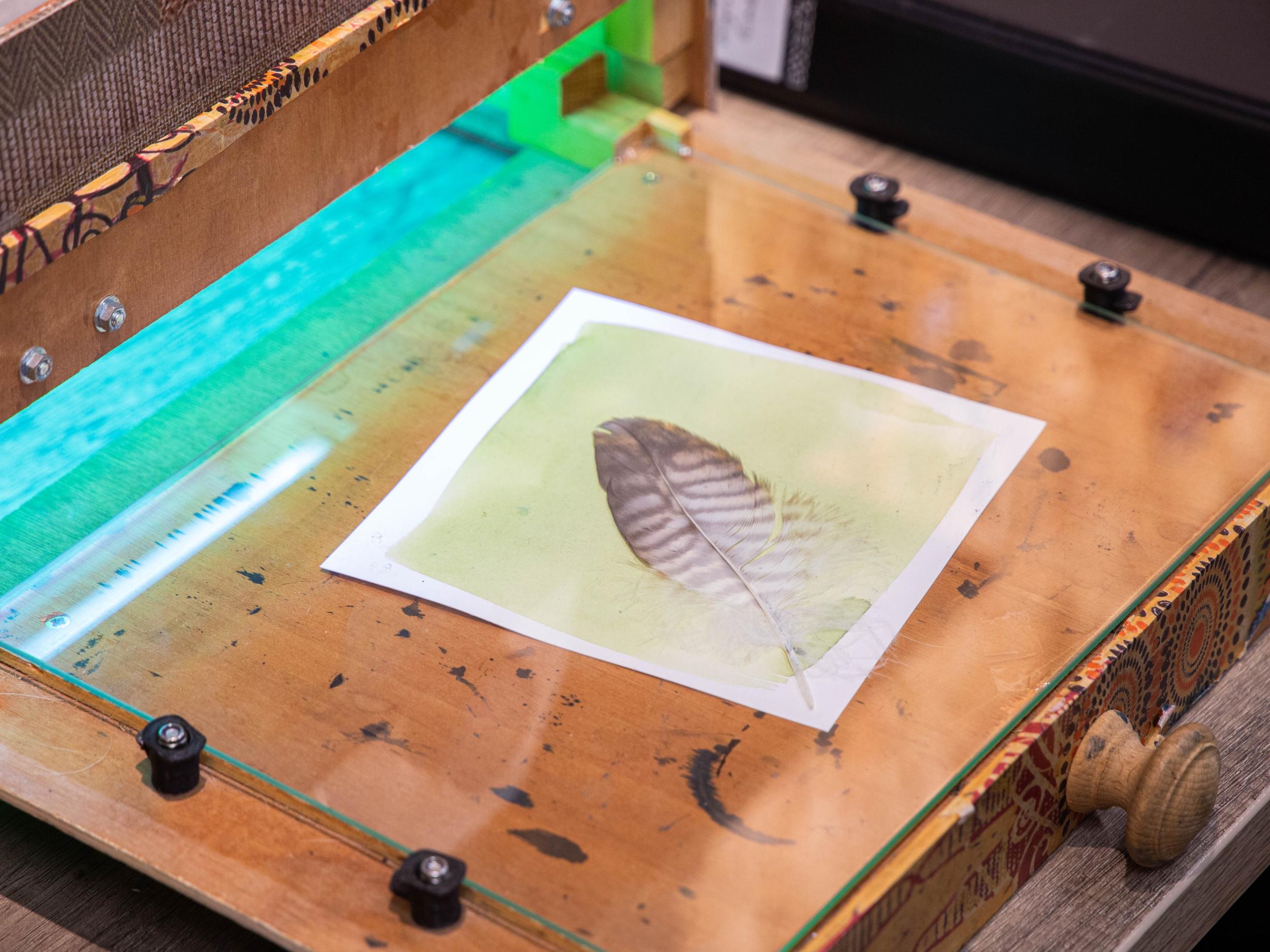 Réalisez vos cyanotypes sur verre avec Celia - Image n°8 - Wecandoo