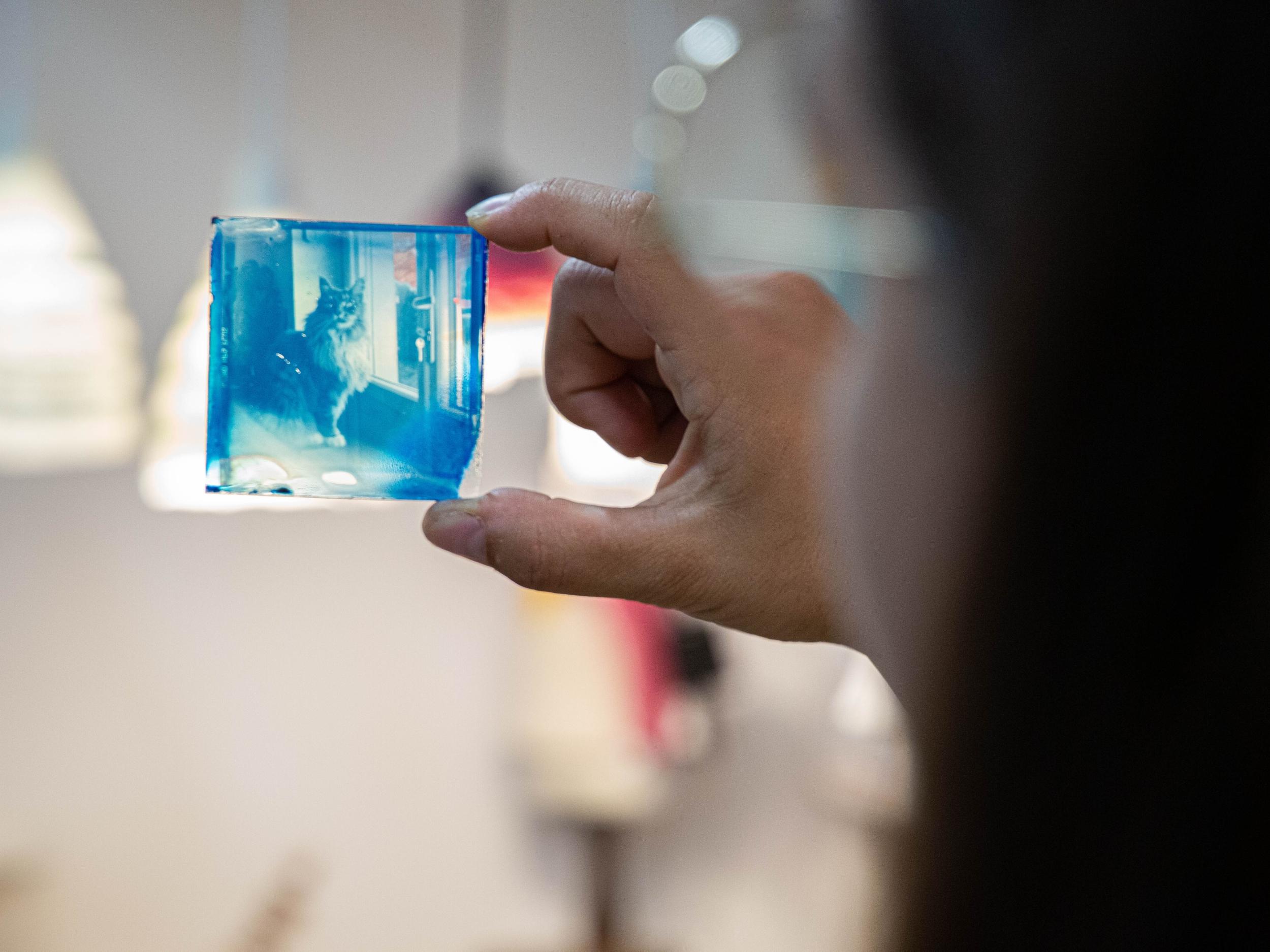 Réalisez vos cyanotypes sur verre