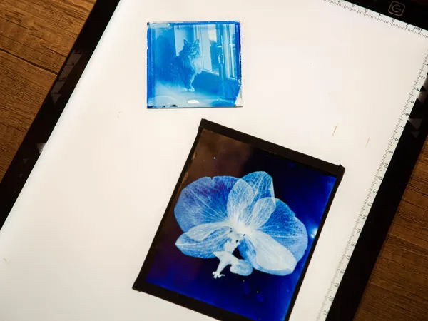 Réalisez vos cyanotypes sur verre avec Celia - Image n°3 - Wecandoo