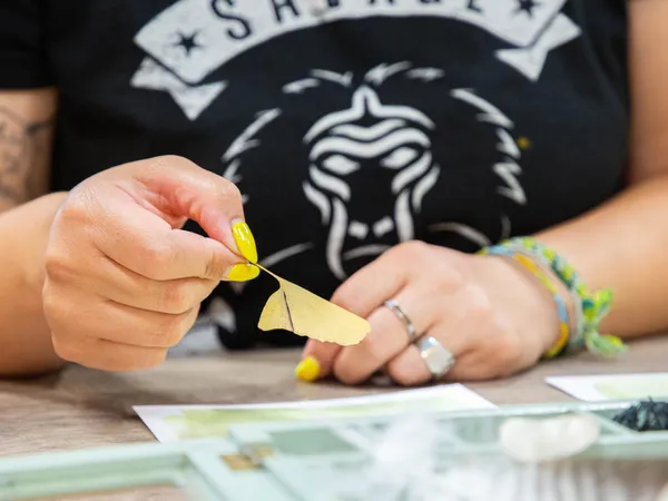 Initiez-vous au cyanotype avec Celia - Image n°3 - Wecandoo