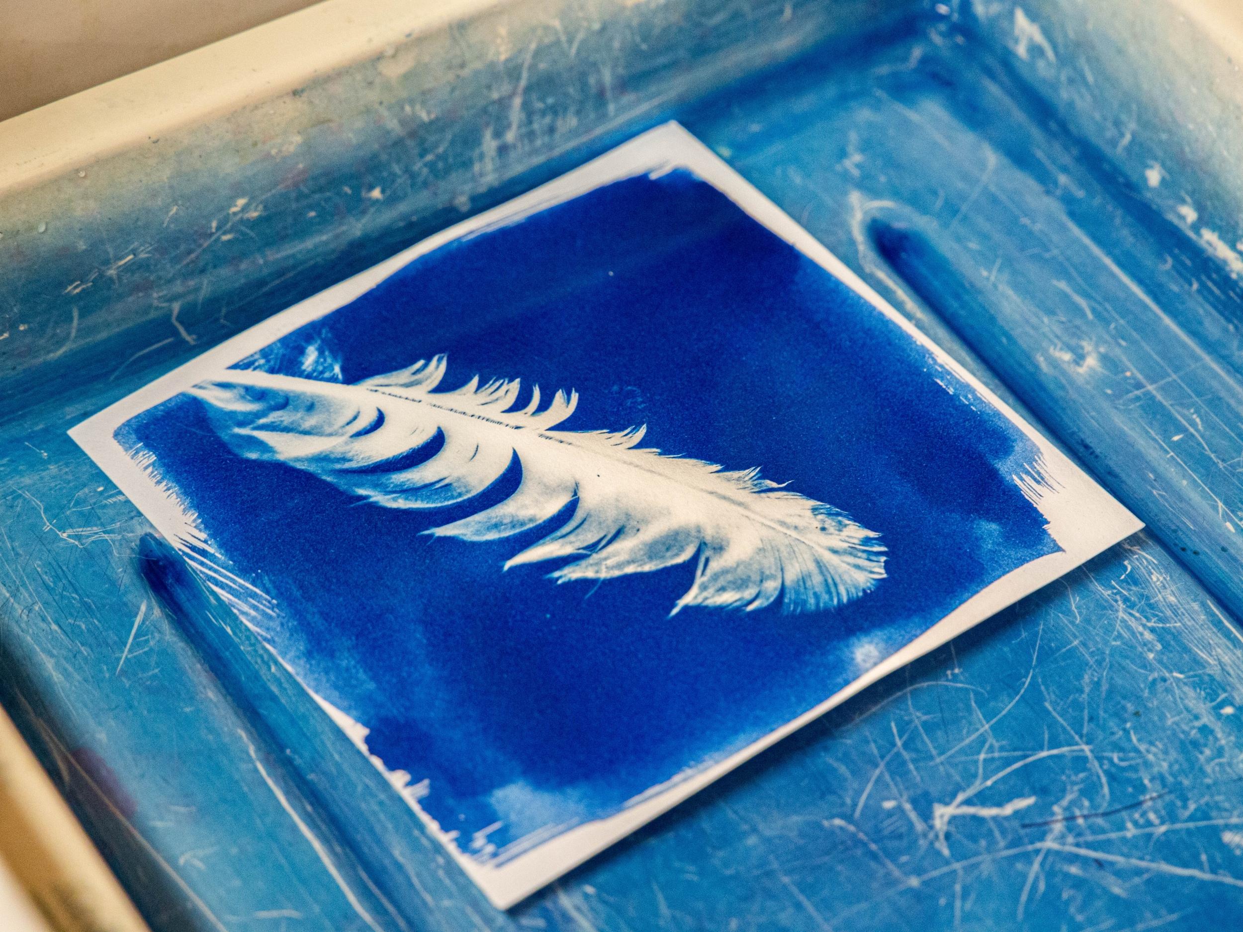 Initiez-vous au cyanotype