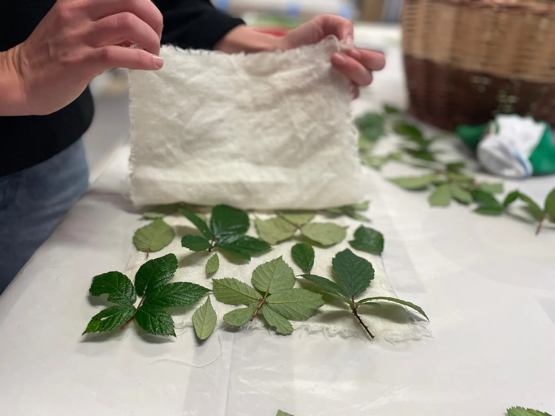 Initiez-vous à l'écoprint et à la teinture végétale avec Adeline - Image n°5 - Wecandoo