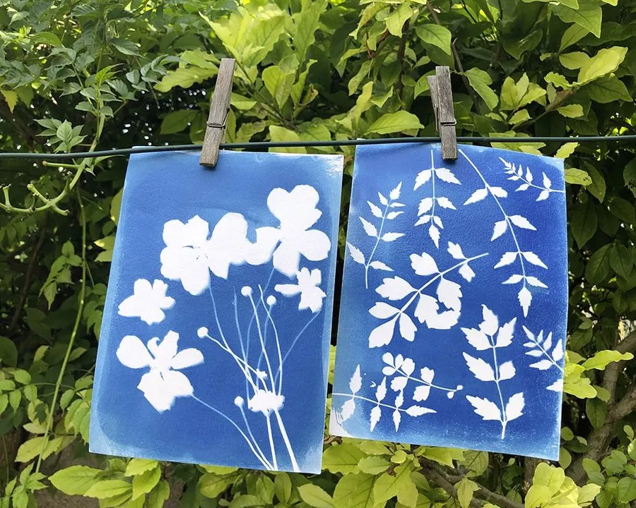 Initiez-vous au cyanotype et réalisez vos affiches avec Bénédicte - Image n°1 - Wecandoo