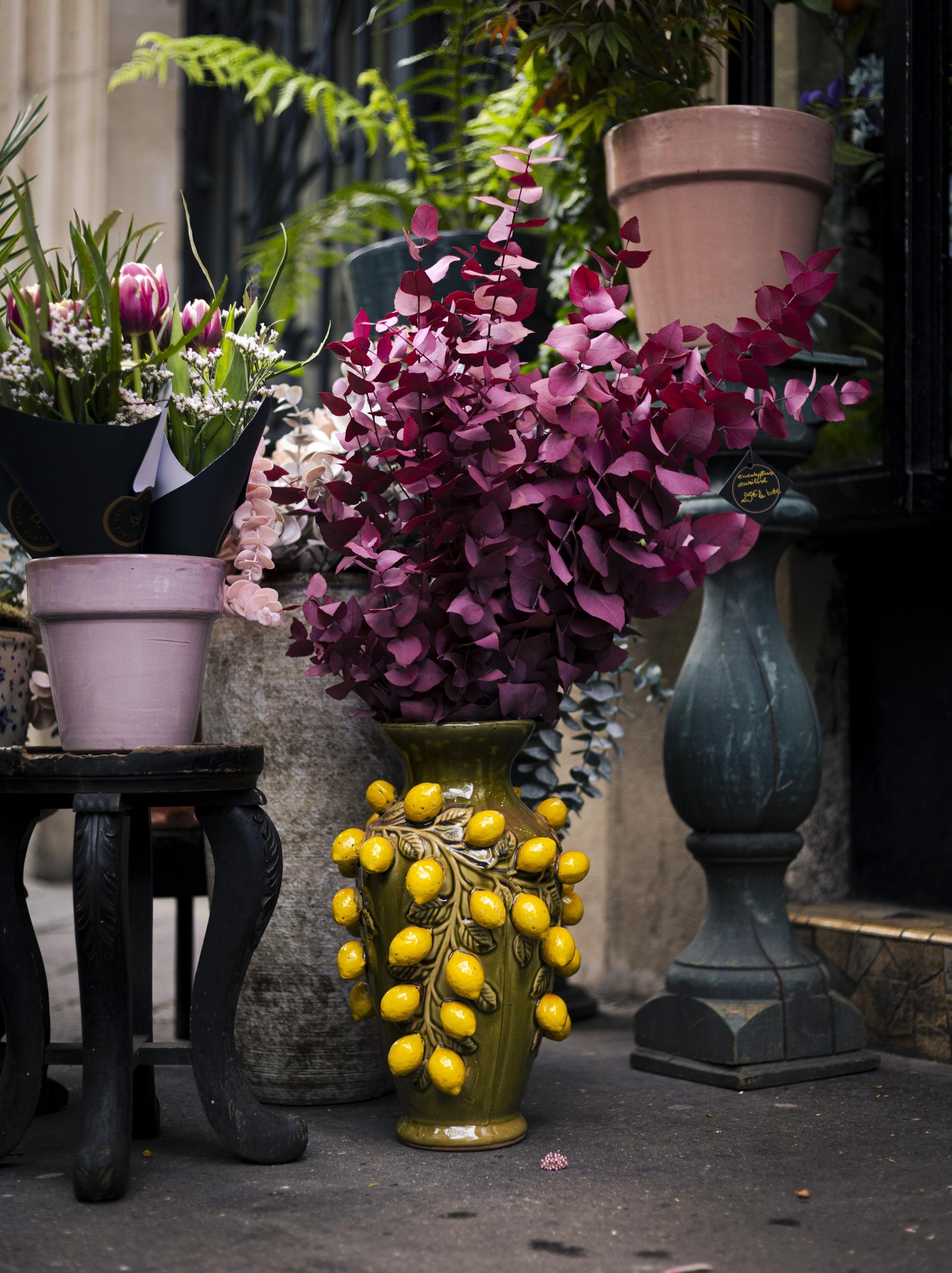 Créez votre composition florale sous cloche autour d'un apéro avec Bertrand - Image n°10 - Wecandoo