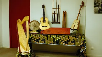 Découvrez le métier de luthier à Le mans