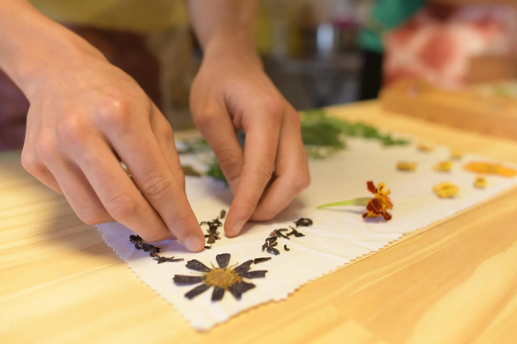 Initiez-vous à la production d'encres naturelles et teignez votre furoshiki avec Christelle - Image n°2 - Wecandoo