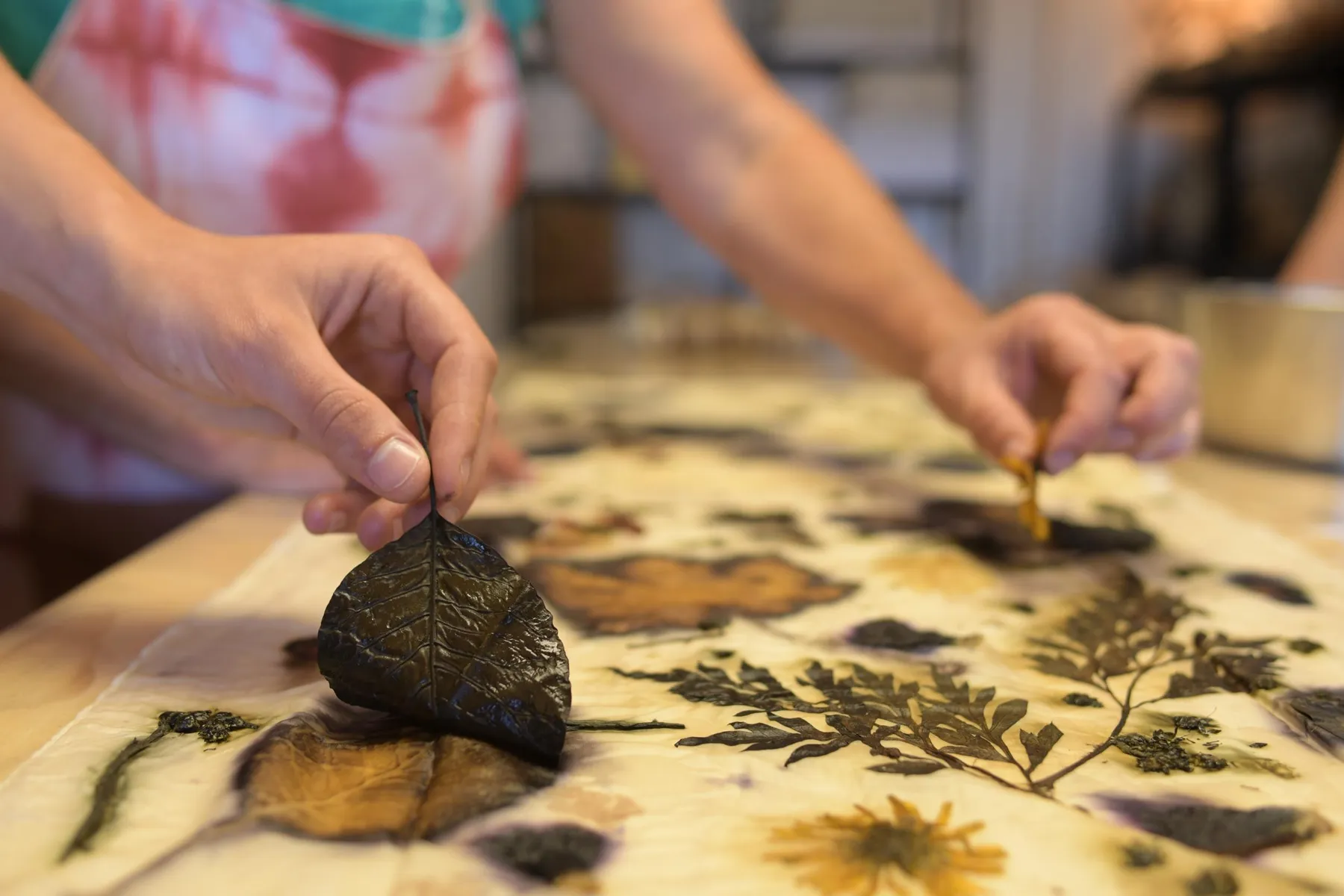 Initiez-vous à la teinture végétale avec Christelle - Image n°5 - Wecandoo