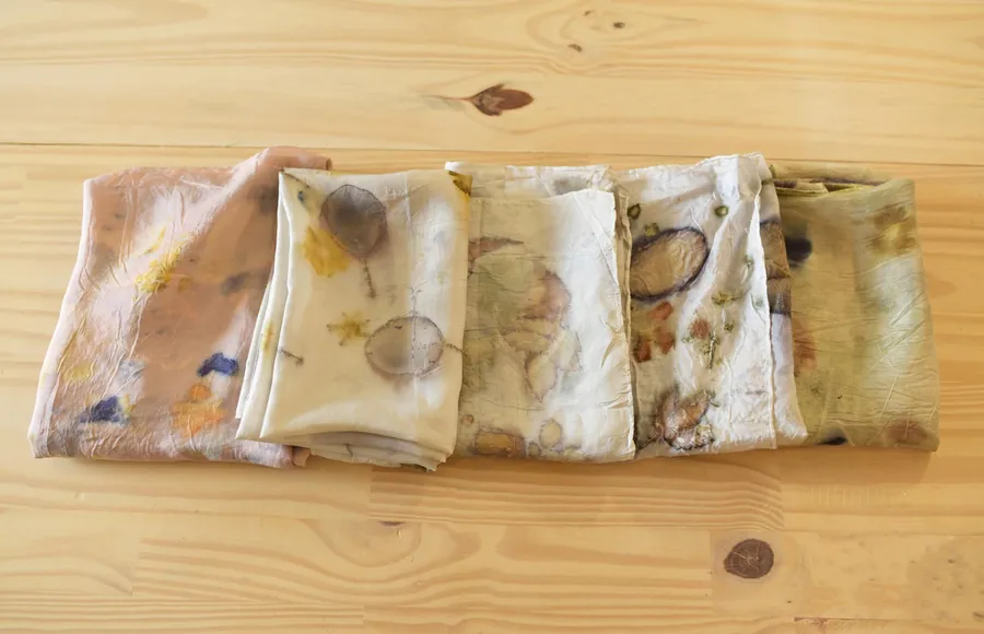 Initiez-vous à la production d'encres naturelles et teignez votre furoshiki avec Christelle - Image n°1 - Wecandoo