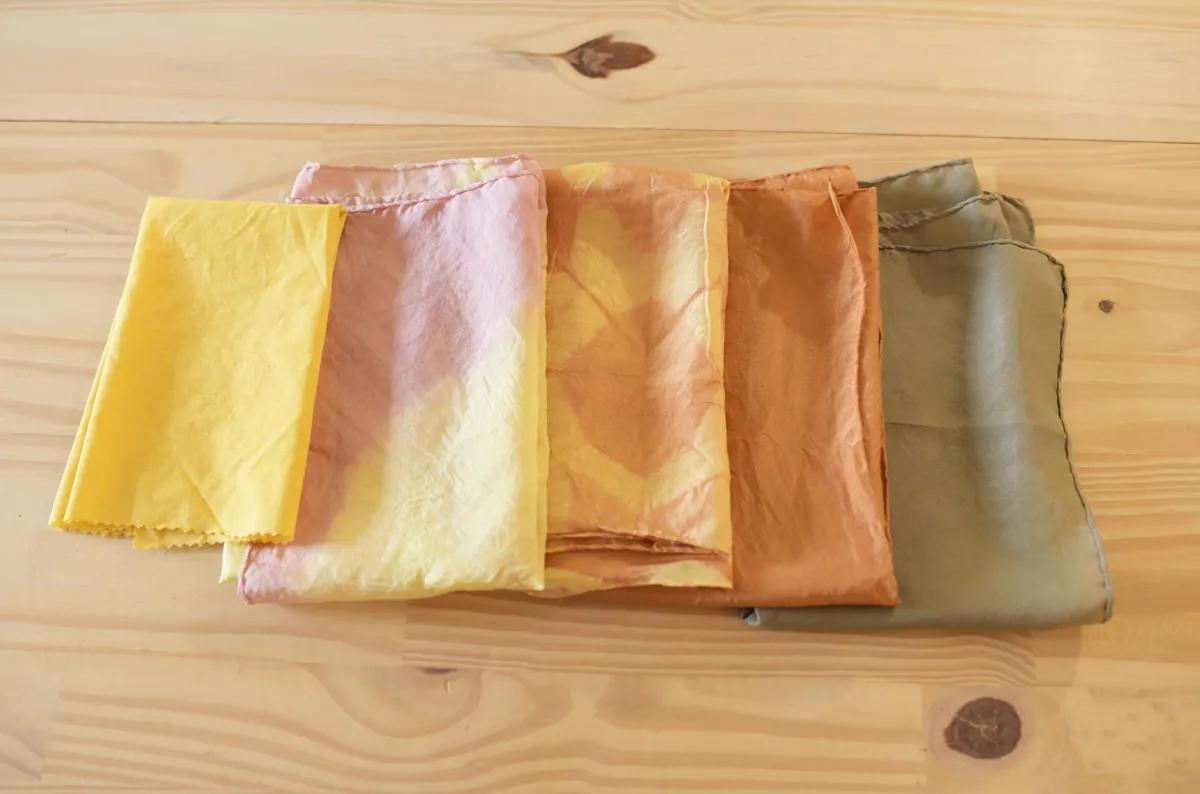 Initiez-vous à la teinture végétale