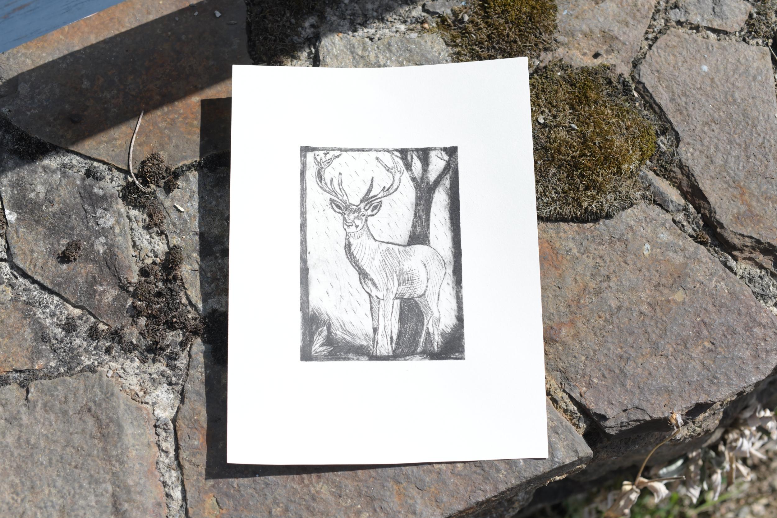 Initiez-vous à la gravure sur tétrapack