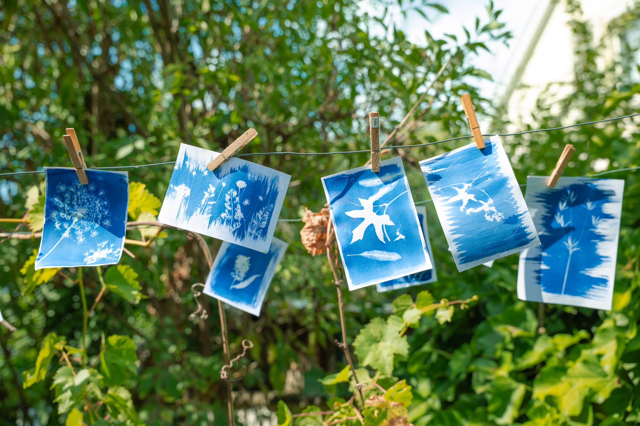 Découvrez le cyanotype avec Hélène - Image n°11 - Wecandoo