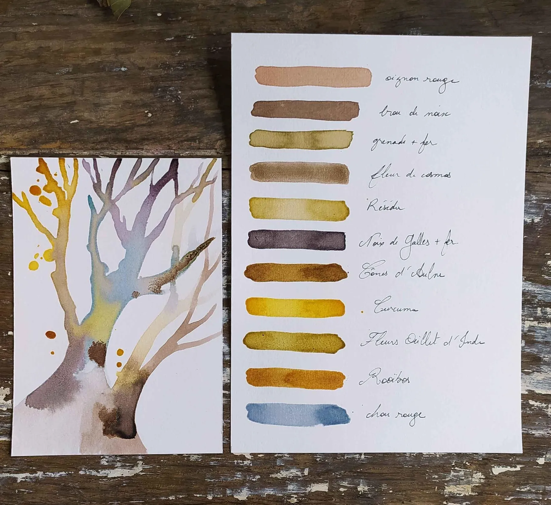 Réalisez vos encres végétales avec Noémie - Afbeelding nr. 1 - Wecandoo