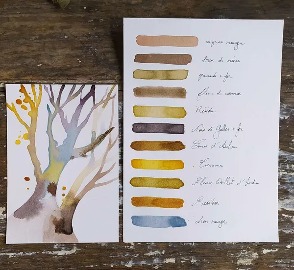 Réalisez vos encres végétales avec Noémie - Image n°1 - Wecandoo